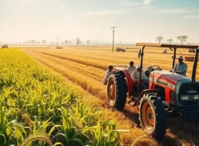 farming-1